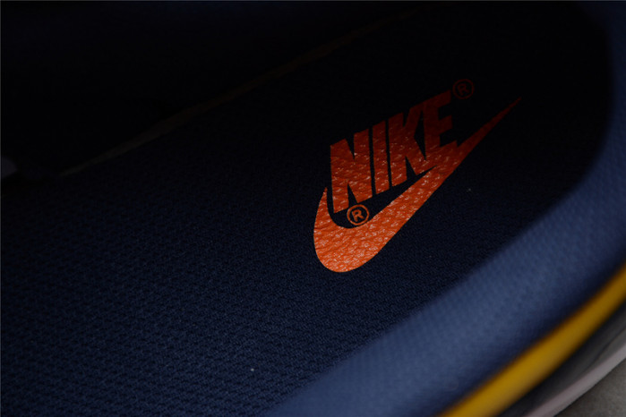 nike dunk low michigan dd1391-700