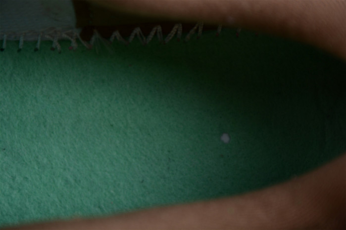 nike air max 1 "treeline" dr9773-300