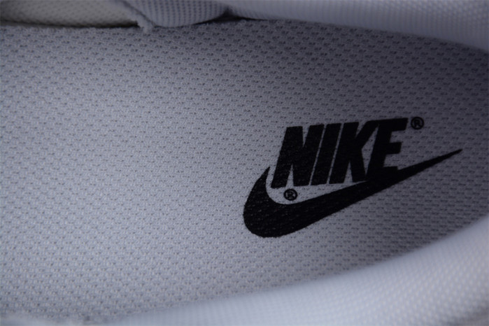 nk dunk low ndl20230418